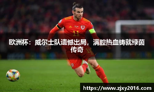 欧洲杯：威尔士队遗憾出局，满腔热血铸就绿茵传奇