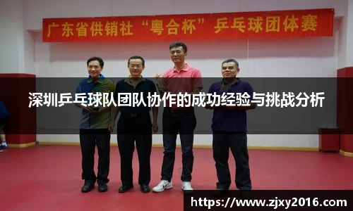 深圳乒乓球队团队协作的成功经验与挑战分析